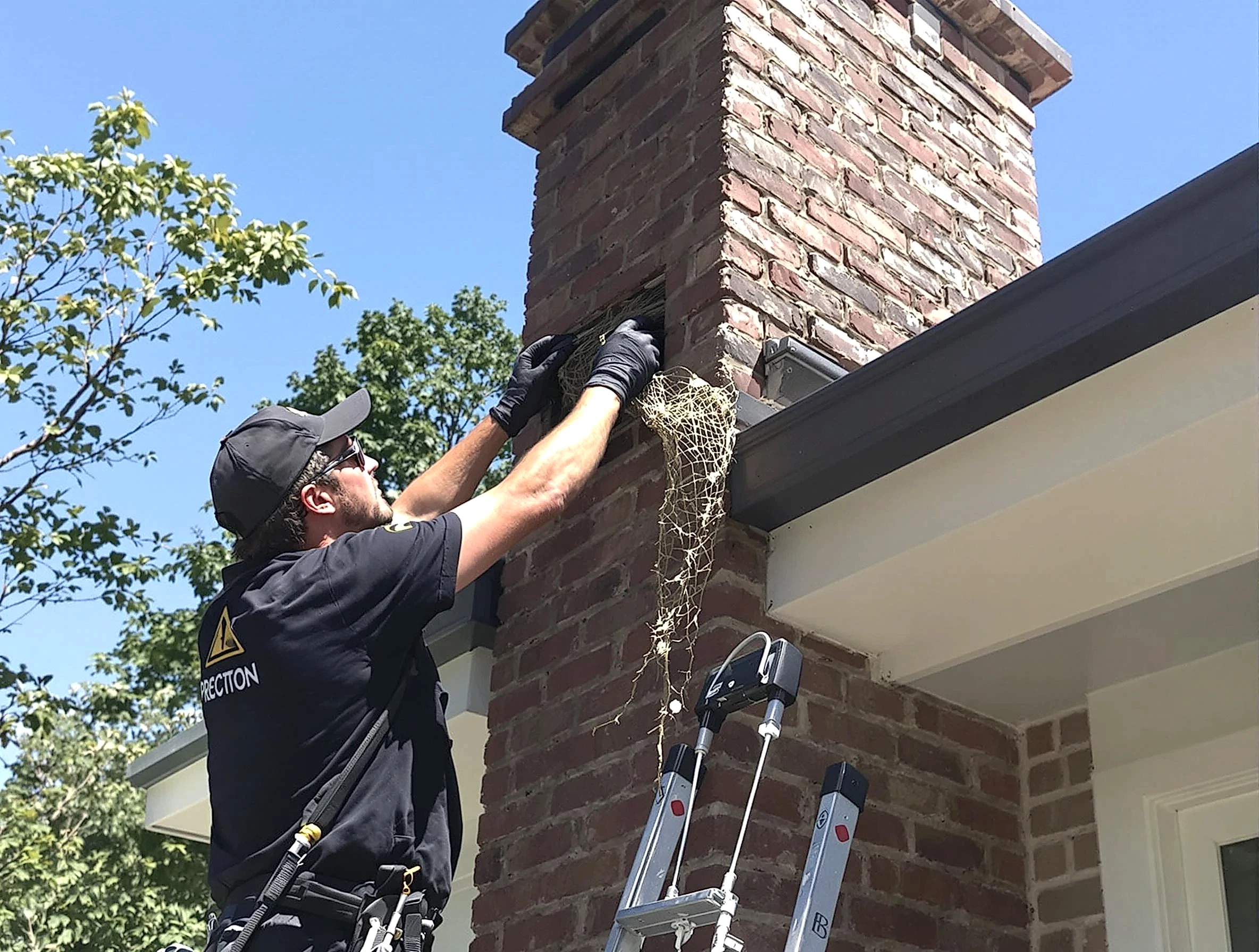 Animal & Debris Removal in Mesa, AZ